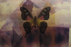 My Grandmother\'s House-Moth Series