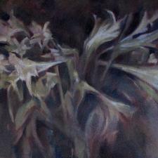 winter-lillies-11-201530h-x-36-w-oil-on-canvas-2015-05-30-00-09-08-copy-5